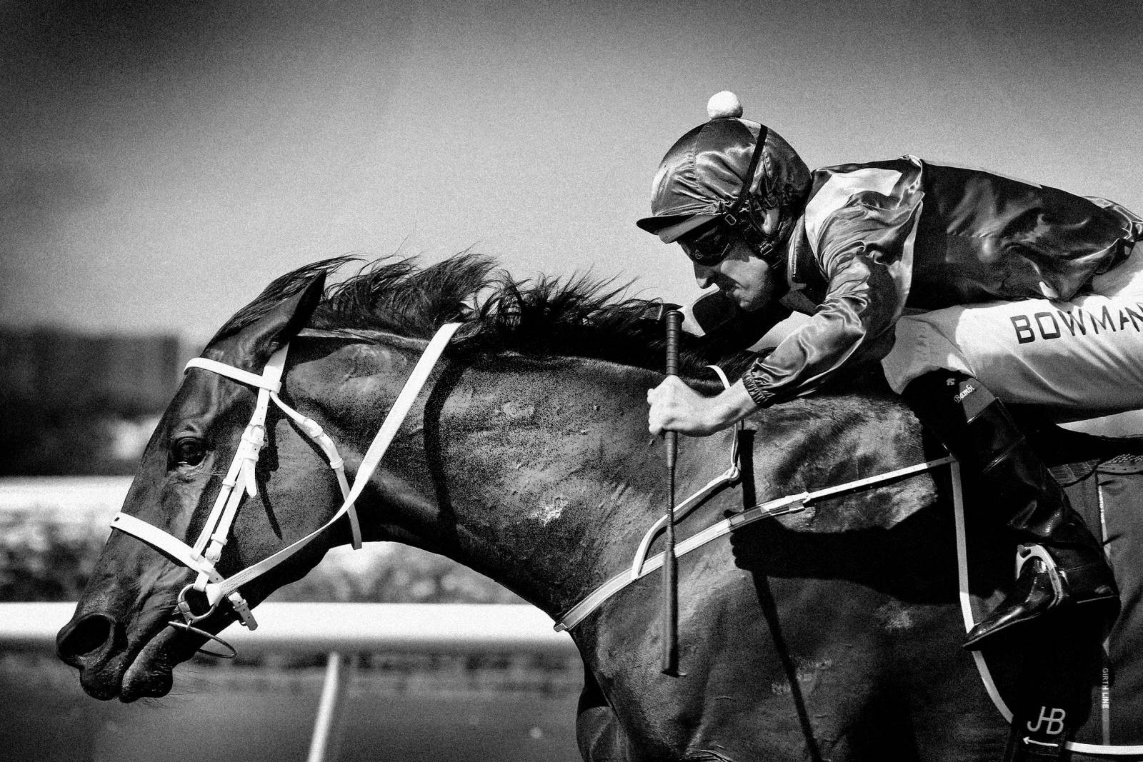 longines horse racing watch