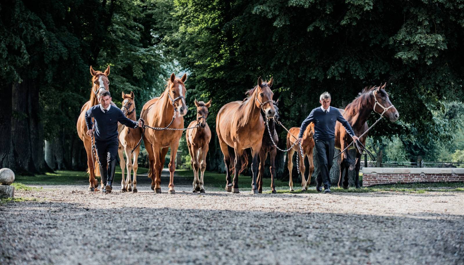 Longines World’s Best Racehorse