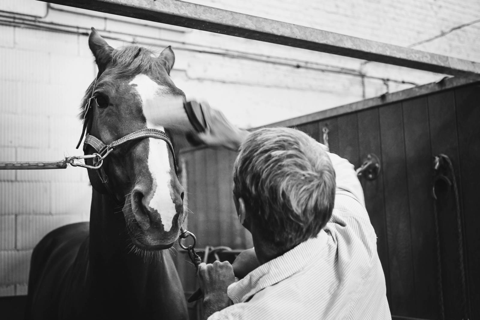 Longines World’s Best Racehorse